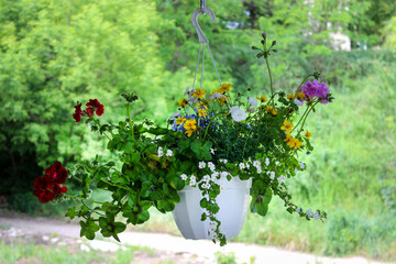 Arrangement of flowers in white pots hanging on the porch at the terrace