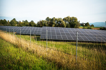 Renewable energy from solar panels in a solar park to generate clean energy.