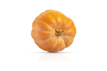 Ripe orange pumpkin isolated on white background. Farm autumn harvest. Thanksgiving or Halloween design element.