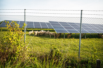 Renewable energy from solar panels in a solar park to generate clean energy.