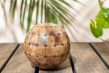 Escera sobre mesa de madera al fondo hoja de palmera