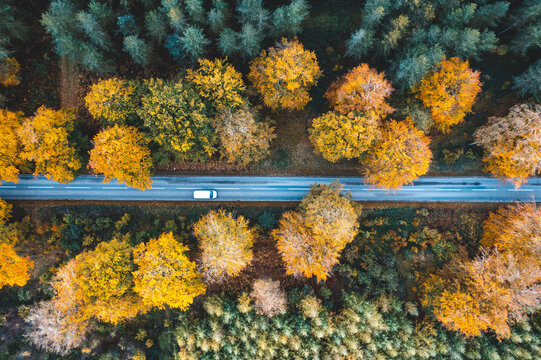 Car driving on countryside road through the wood in autumn