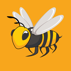 The bee carton was conceived as a graphic element for a book cover