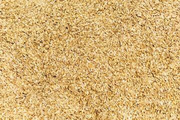 脱穀したての籾殻