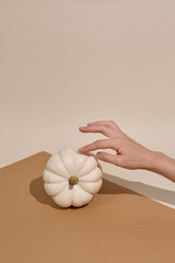 hands of a person touching a pumpkin with beige background