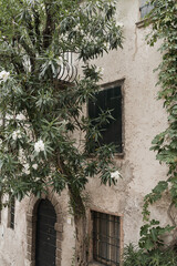 Old historic Italian architecture. Traditional European village rustic buildings. Flowers, wooden windows, shutters and pastel walls. Aesthetic summer vacation travel background - obrazy, fototapety, plakaty