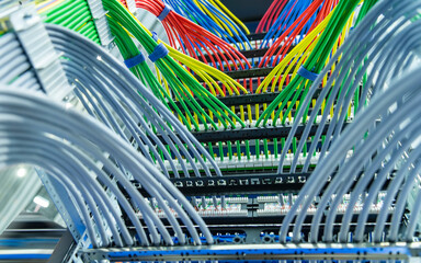 Information Technology Computer Network, colorful Telecommunication Ethernet Cables Connected to Internet Switch.