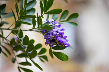 Adventures of the World