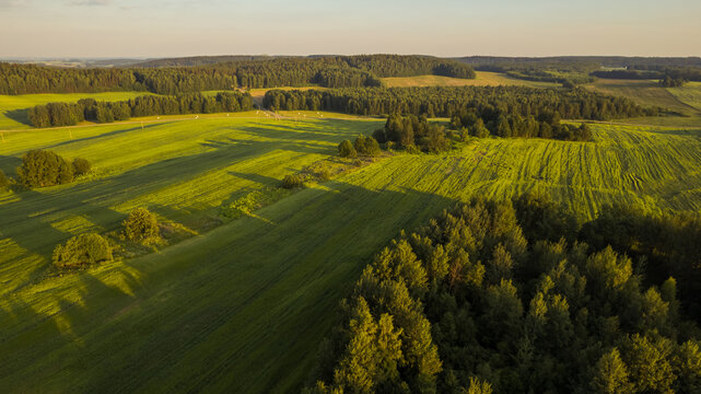 Evening summer landscape, aerial view of forest and meadows