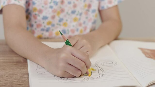 Close up paning 4K of child's hands which are writing, reading and coloring on her book on the table. It is a concept of kid's studying and learning with attention and concentration for education. 