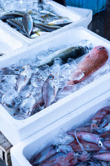市場の魚介類