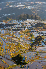 terraced fields In Yunnan China