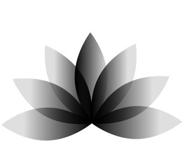 Lotus flower silhouette background image
