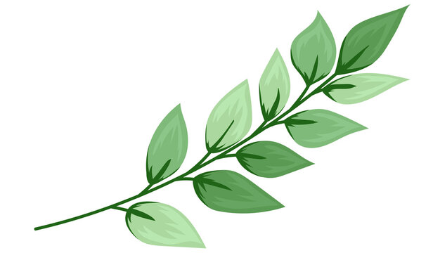 Elegant floral leaf background image
