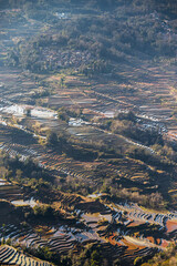 terraced fields in Yunnan China