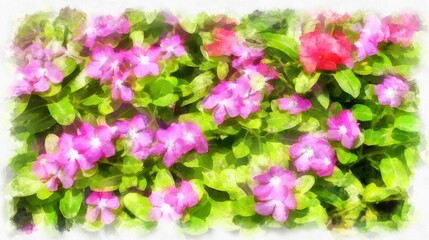 pink and white flower bushes watercolor style illustration impressionist painting.