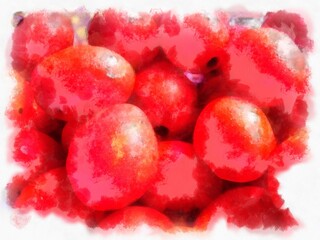 small tomatoes watercolor style illustration impressionist painting.