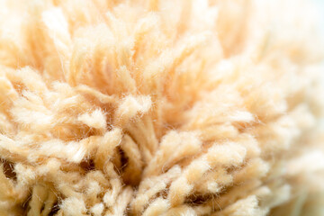 Raw Cotton Crops,Yarn spinning machine ,macro cotton,Background from the raw cotton fiber 
