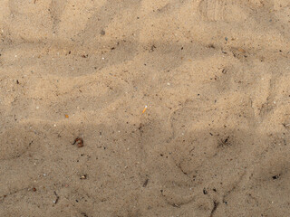 Cigarette butt in the sand of a bathing beach. Waste from an ignorant person in the environment. Environmental pollution made by humans. Sand texture with dirt components. Disgusting beach sand.