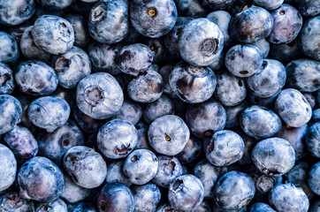 Fresh blueberry background. Texture blueberry berries close up
