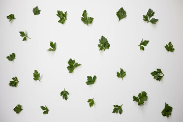 Parsley leaves on a white background isolated, with copy space.