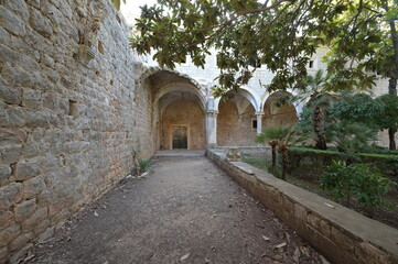 Fototapeta na wymiar A ruined monastery on the Island of Lokrum at Dubronik, Croatia.