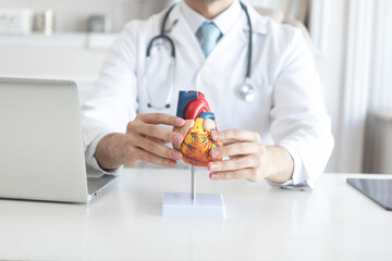 Close up photo of male doctor holding heart mockup in the office of clinic