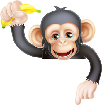Banana Chimp Monkey Pointing