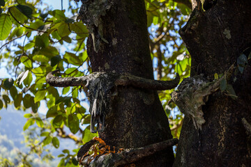 Wengding  primitive ancient village in Yunnan China