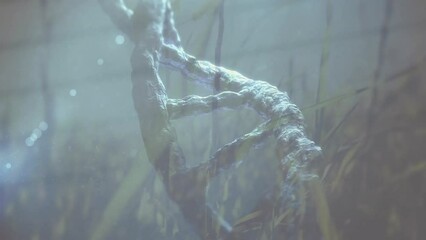 Animation of 3d dna helix with grass against bright sun and clear sky in background - Powered by Adobe