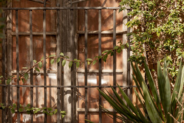 viejo patio con reja y ventanas de madera.