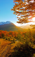 Obraz premium autumn in the mountains