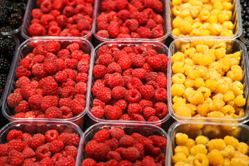 Colourful mix of different fresh berries at market. Red and yellow raspberries and blackberries.