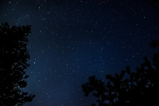 Landscape of night sky with stars 