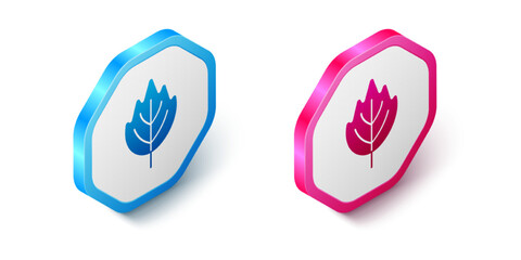 Isometric Leaf icon isolated on white background. Leaves sign. Fresh natural product symbol. Hexagon button. Vector