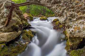 waterfall in the forest