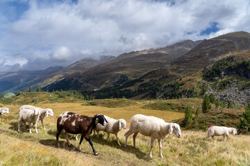 Ötztal im Sommer September