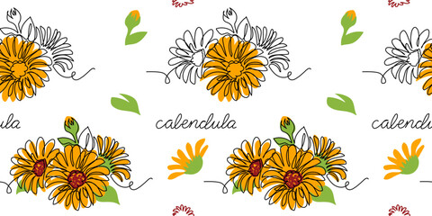 Calendula, marigold flower vector pattern, background for label design. One continuous line art drawing calendula pattern - obrazy, fototapety, plakaty