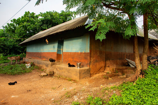 Santal 이미지 찾아보기 512 스톡 사진, 벡터 및 비디오 Adobe Stock