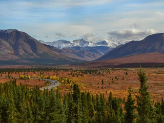 Photo sur Plexiglas Denali Autumn in Denali Alaska