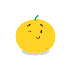 A cute orange illustration