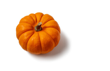 Small decorative pumpkin isolated on white background.