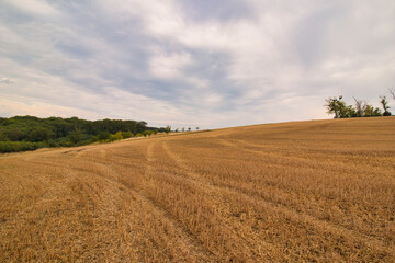 A stubble field, latter summer cloudy day. Moravia region.