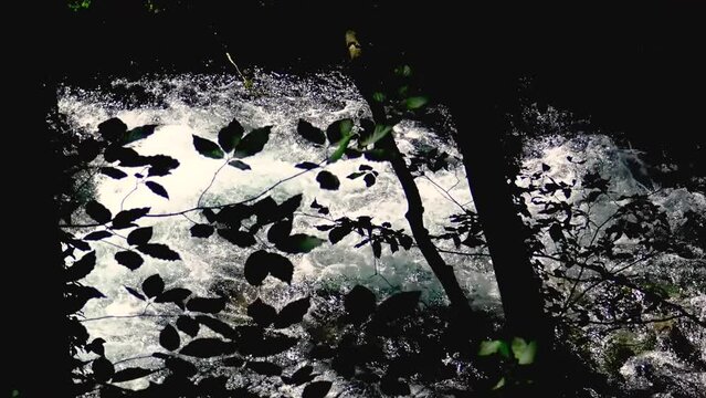 Fresh crystal clear water of river Pliva in natural surroundings at Sipovo in Bosnia and Herzegovina.