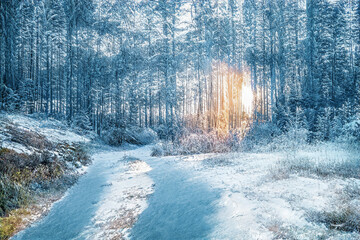 Fototapety na wymiar - Fototapeta24.pl