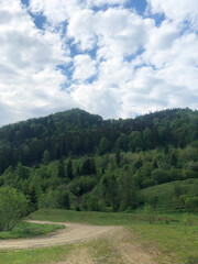 Fototapeta na wymiar Nature Skole Lviv Landscape. Field and Tree Forest.