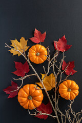 Composition of pumpkin, autumn fallen leaves and decorative twig on black background. Halloween or Thanksgiving holiday concept.