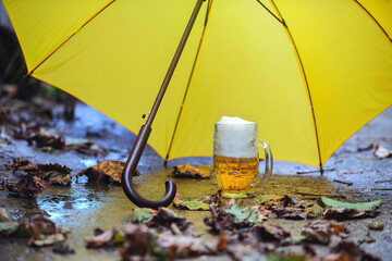 In autumn, under a yellow umbrella, there is a glass of poured beer with foam. Nearby there are...