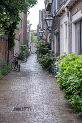 Fototapeta na wymiar Leiden Netherlands, brick wall building, cobblestone path, parked bicycle, green plants. Vertical