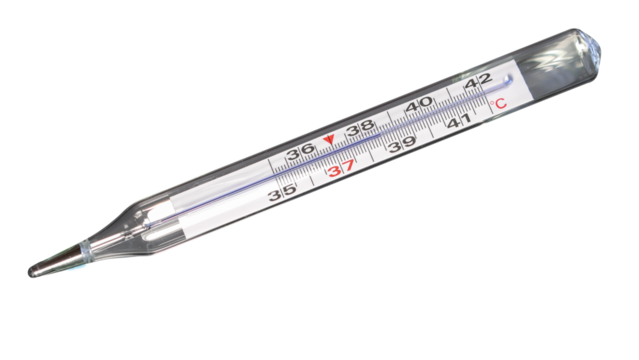 Analog clinical thermometer, mercury free, calibrated in degrees centigrade indicating a temperature of 38.5 degrees centigrade. Fever or illness concept
